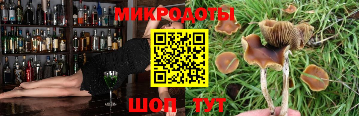 Псилоцибиновые грибы Cubensis  Галлюциногенные грибы мицелий  Вход с VPN  Лангепас 